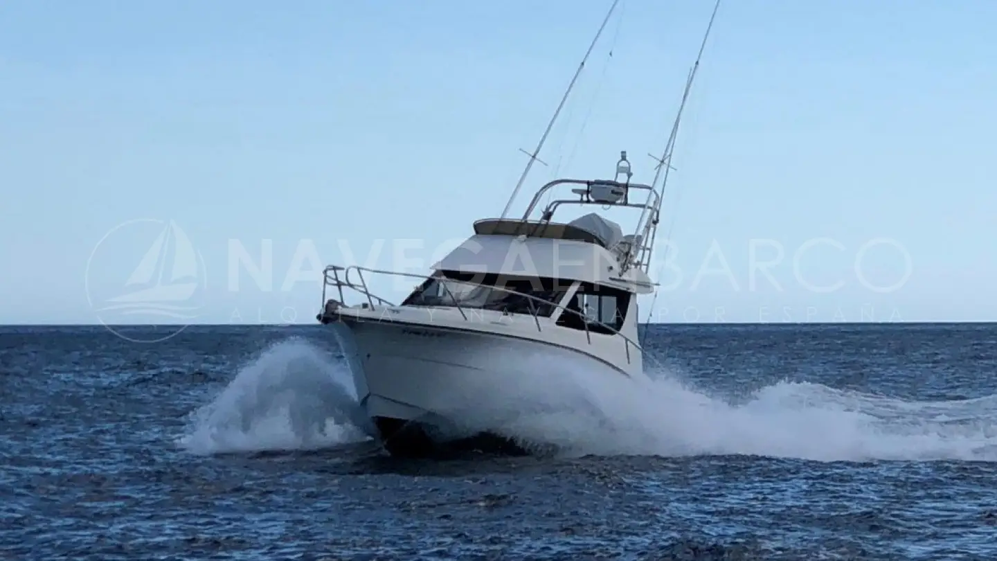 CHARTER PESCA PRIVADO 6 Horas